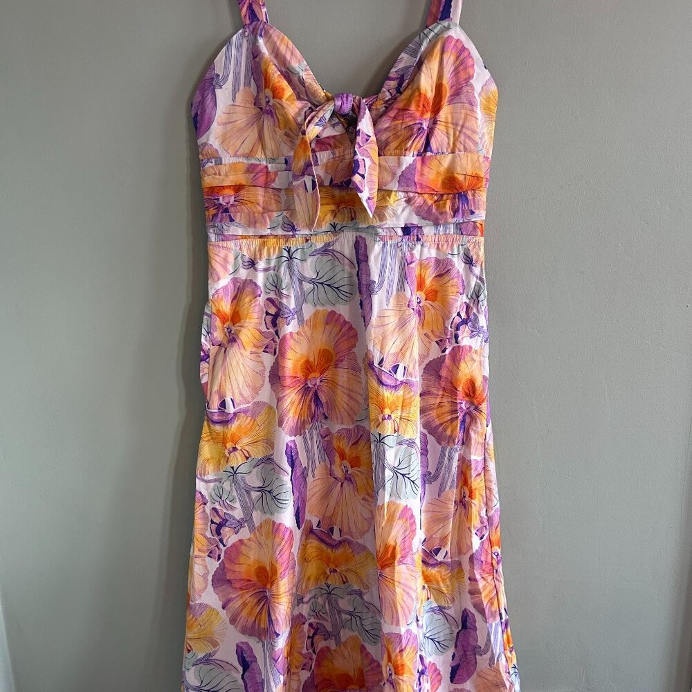 Cecilia Pettersson for Anthropologie Pansy print dress